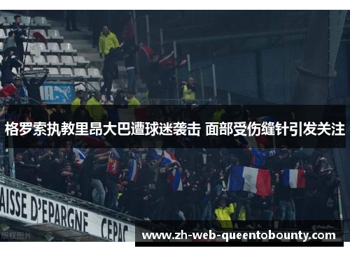 格罗索执教里昂大巴遭球迷袭击 面部受伤缝针引发关注 格罗索执教里昂大巴遭球迷袭击 面部受伤缝针引发关注