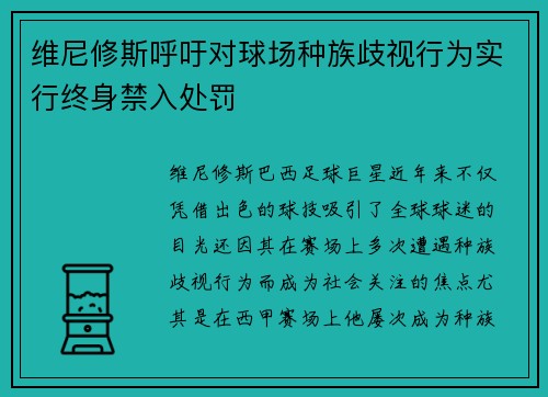 维尼修斯呼吁对球场种族歧视行为实行终身禁入处罚